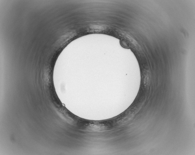 X0000115240455200911271847