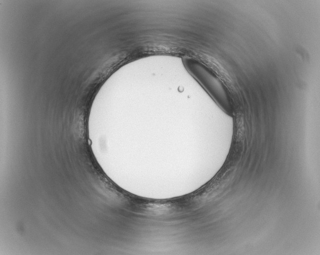 X0000115240457200911271847