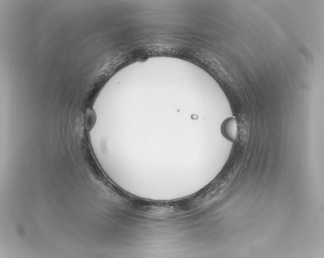 X0000115240458200911271847