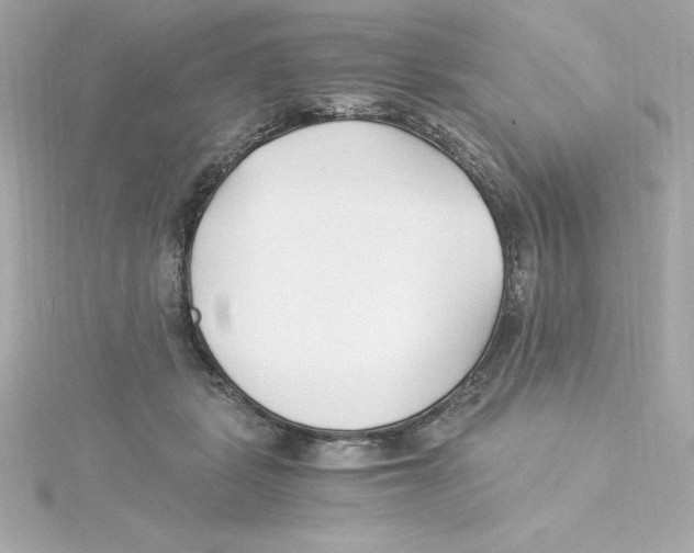 X0000115240461200911271847