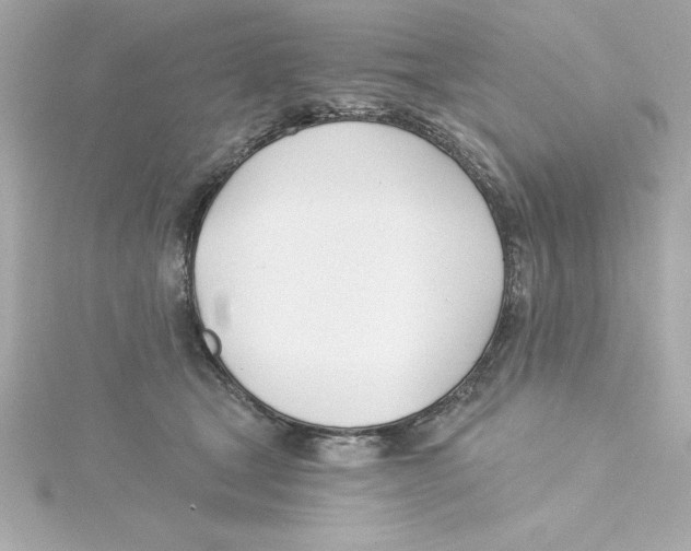 X0000115240465200911271847