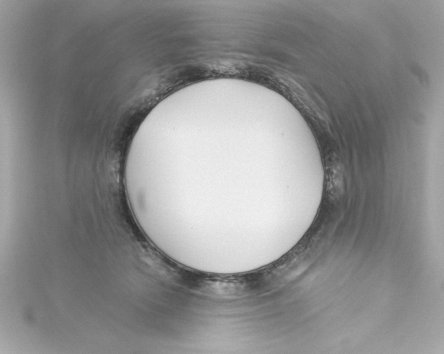 X0000115240466200911271847