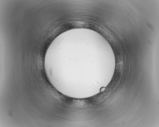 X0000115240469200911271847