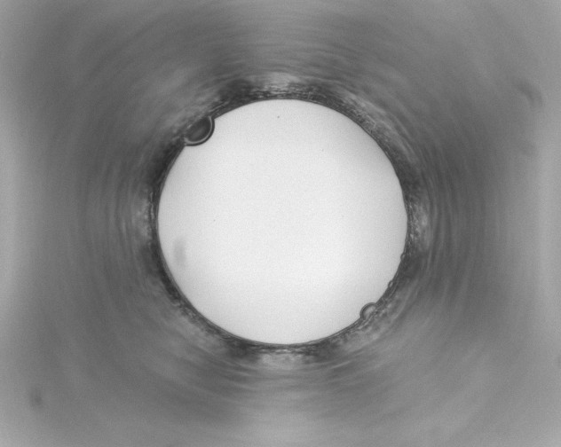 X0000115240470200911271847