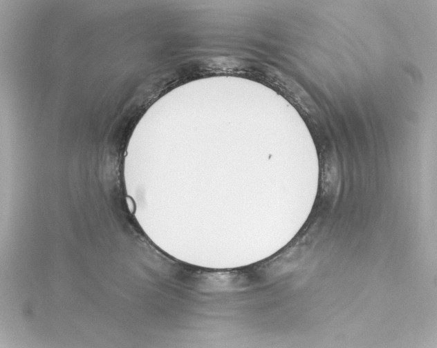 X0000115240473200911271847