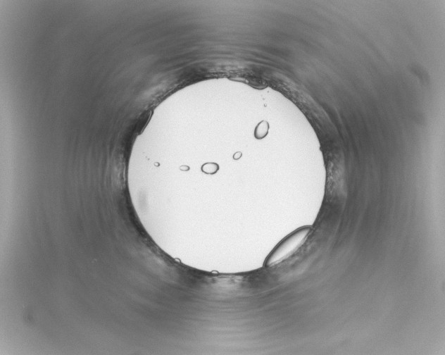 X0000115240474200911271847