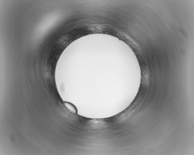 X0000115240477200911271847