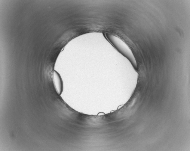 X0000115240479200911271847