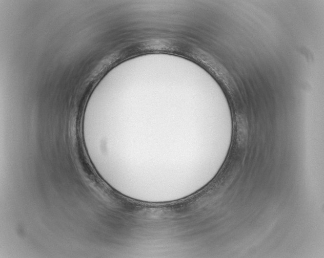 X0000115240482200911271846