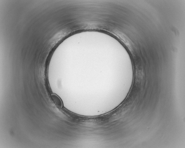 X0000115240485200911271846