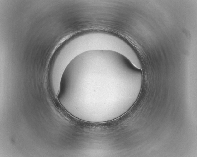 X0000115240488200911271846