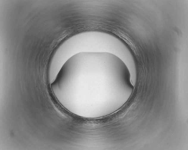 X0000115240489200911271846