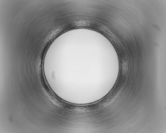 X0000115240490200911271846