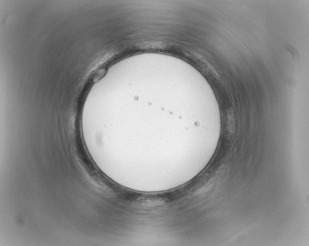 X0000115240491200911271846