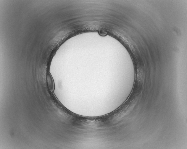 X0000115240493200911271846