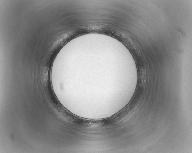 X0000115240495200911271846