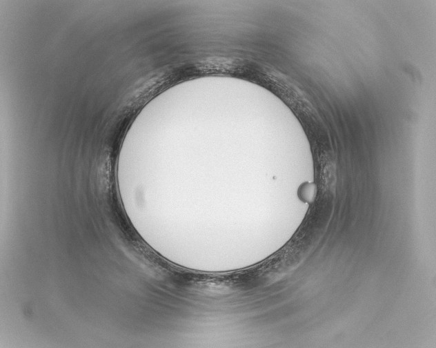 X0000115240498200911271846