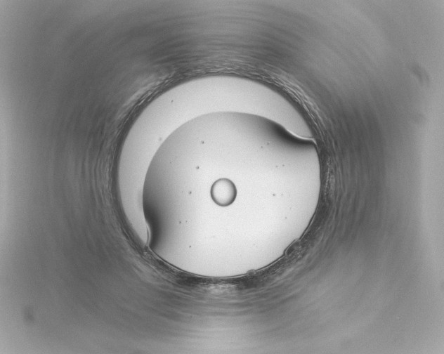 X0000115240501200911271846