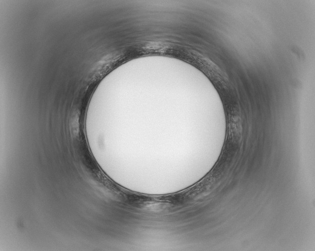 X0000115240504200911271846