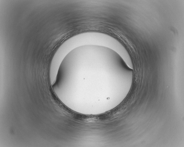 X0000115240505200911271846