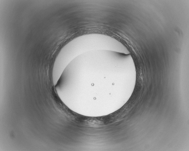 X0000115240512200911271846