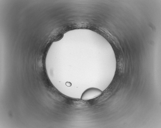 X0000115240516200911271846