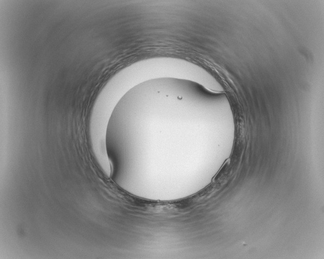 X0000115240517200911271846