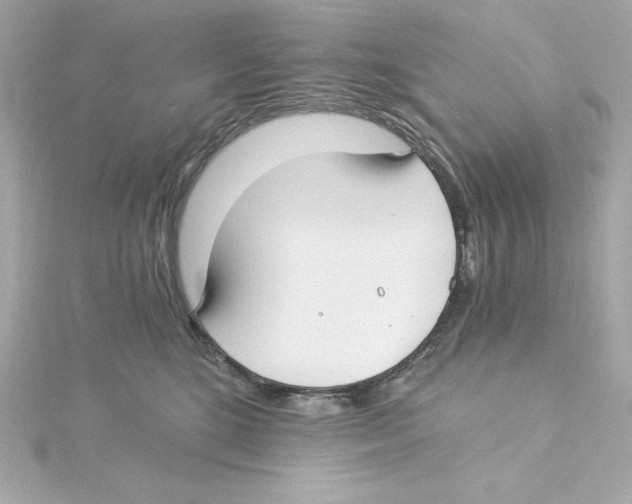 X0000115240520200911271846