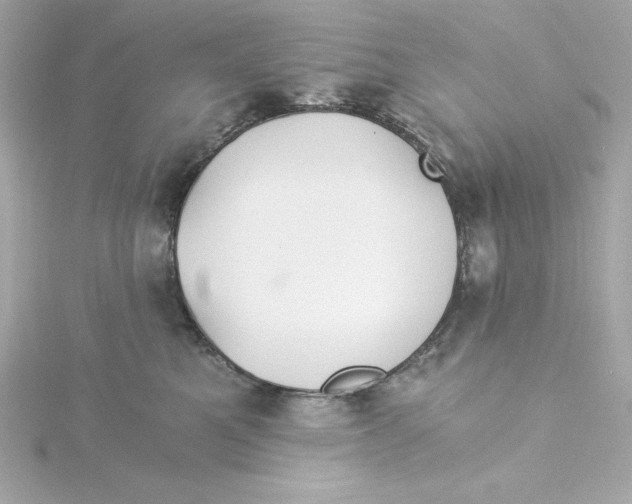 X0000115240521200911271846