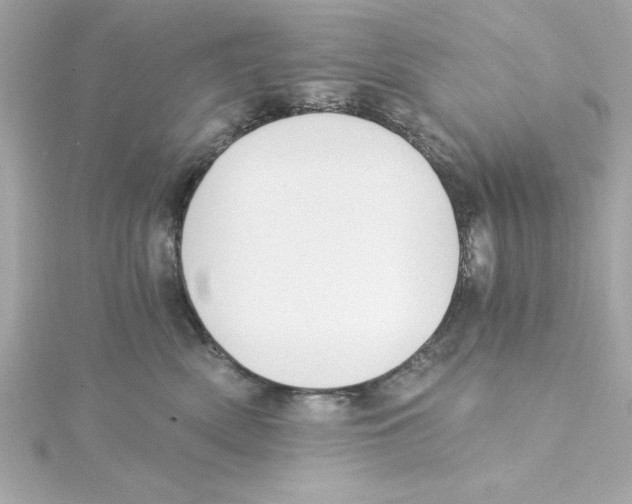 X0000115240522200911271846