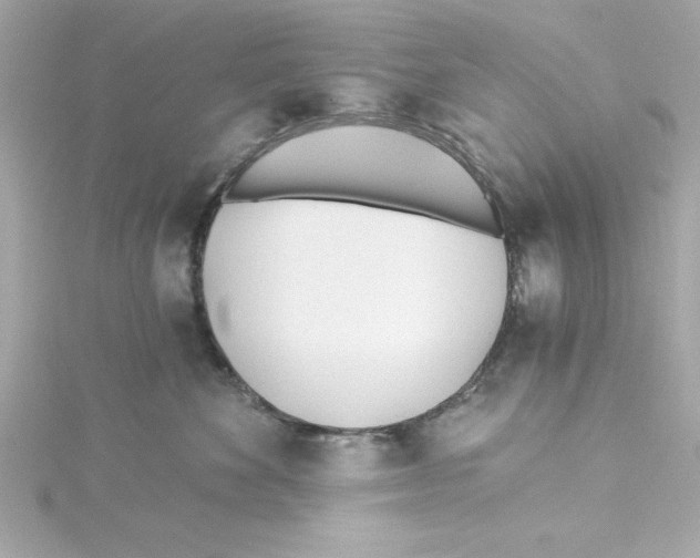 X0000115240524200911271846