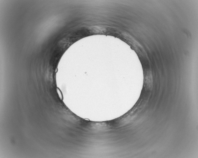 X0000115240525200911271846