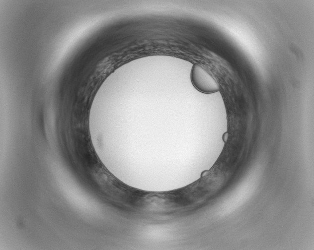 X0000115240526200911271846