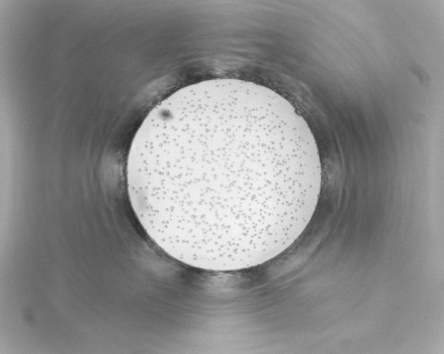 X0000115240527200911271846