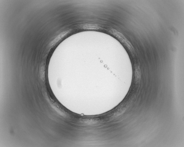 X0000115240533200911271845