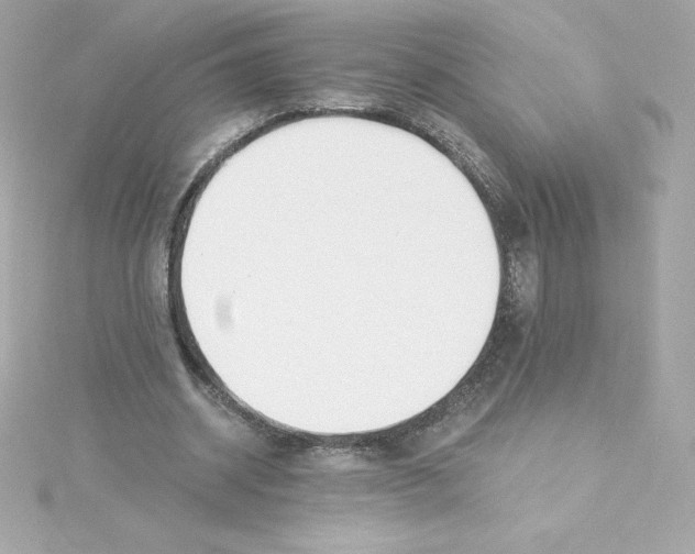 X0000115240534200911271845