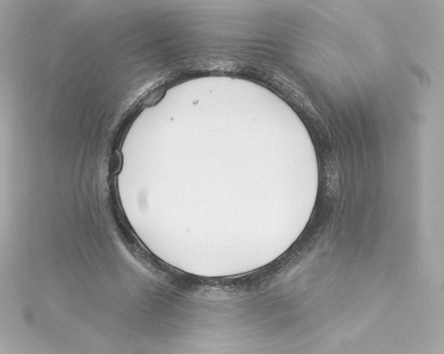 X0000115240538200911271845