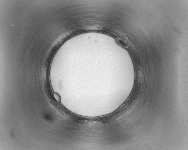 X0000115240539200911271845