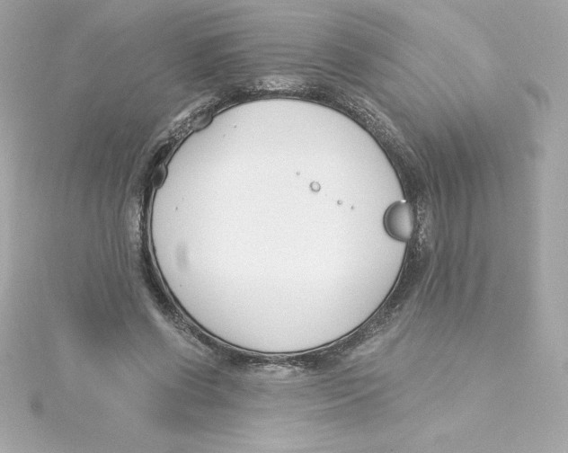 X0000115240542200911271845