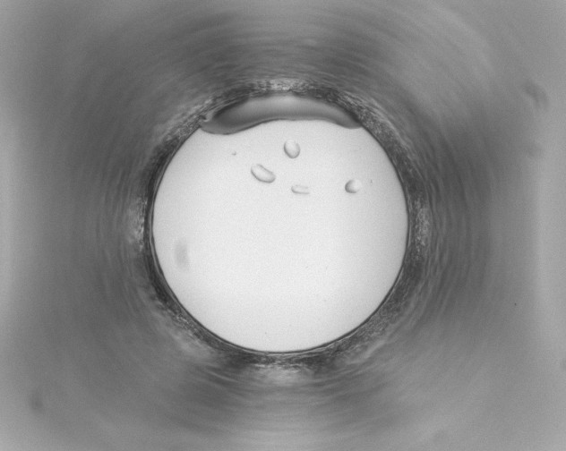 X0000115240545200911271845