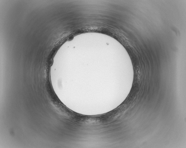 X0000115240546200911271845