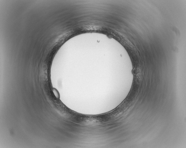 X0000115240547200911271845