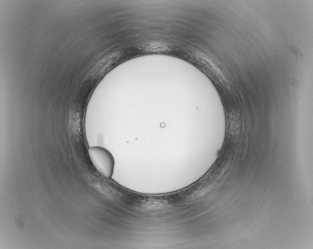 X0000115240549200911271845