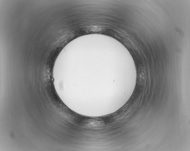 X0000115240555200911271845