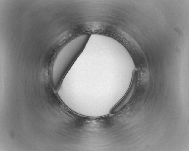 X0000115240558200911271845