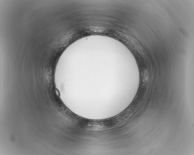 X0000115240559200911271845