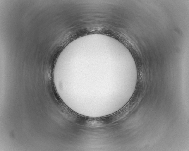 X0000115240561200911271845