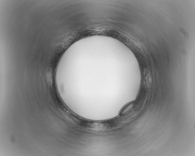 X0000115240562200911271845