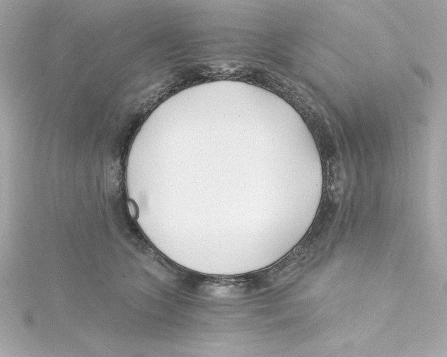 X0000115240563200911271845