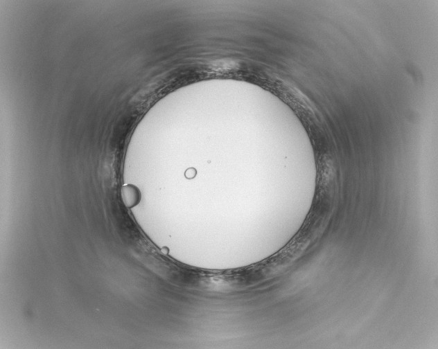 X0000115240565200911271845